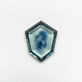 1.19ct 9.23x7.27x1.72mm Kite Portrait Cut Sapphire 20849-01