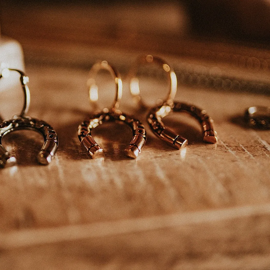 Lucky Charm Horseshoe Hoop Earrings Gold